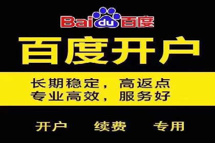 百度推广优化实战技巧与案例解析